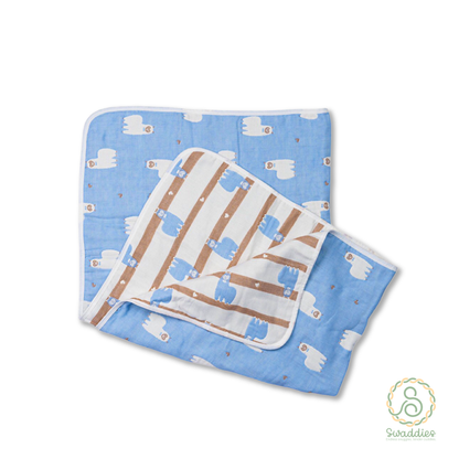 Reversible Blanket